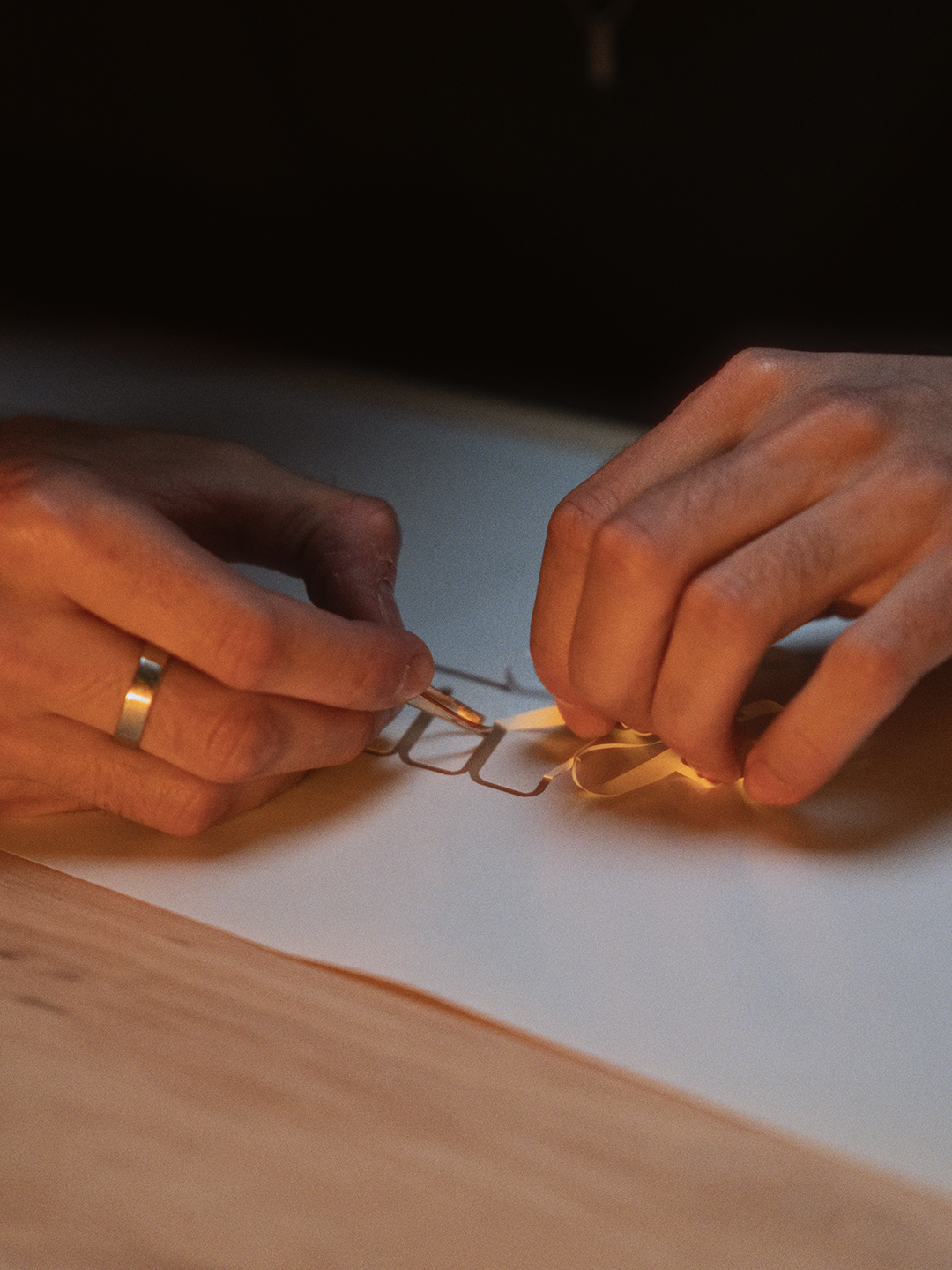 caroussel_0003_GHO04299 copie